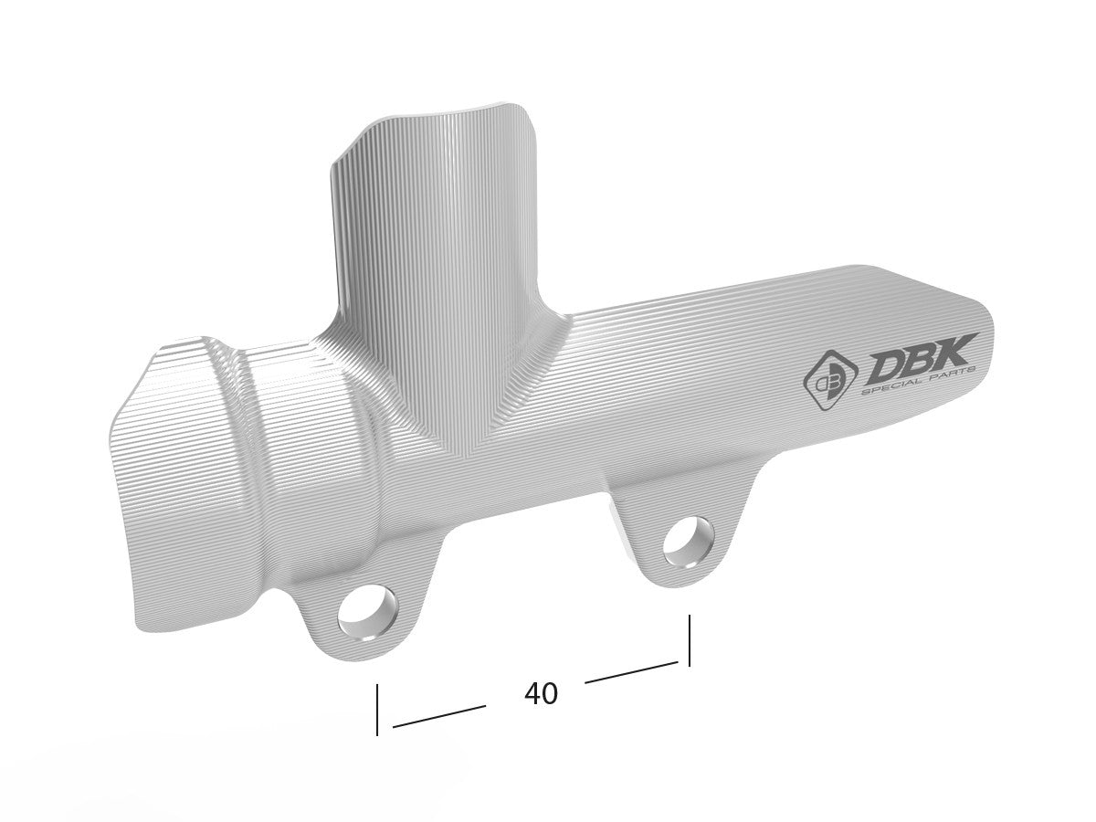 Ducabike DBK PPF05 Brembo Rear Brake Pump Protection - Silver