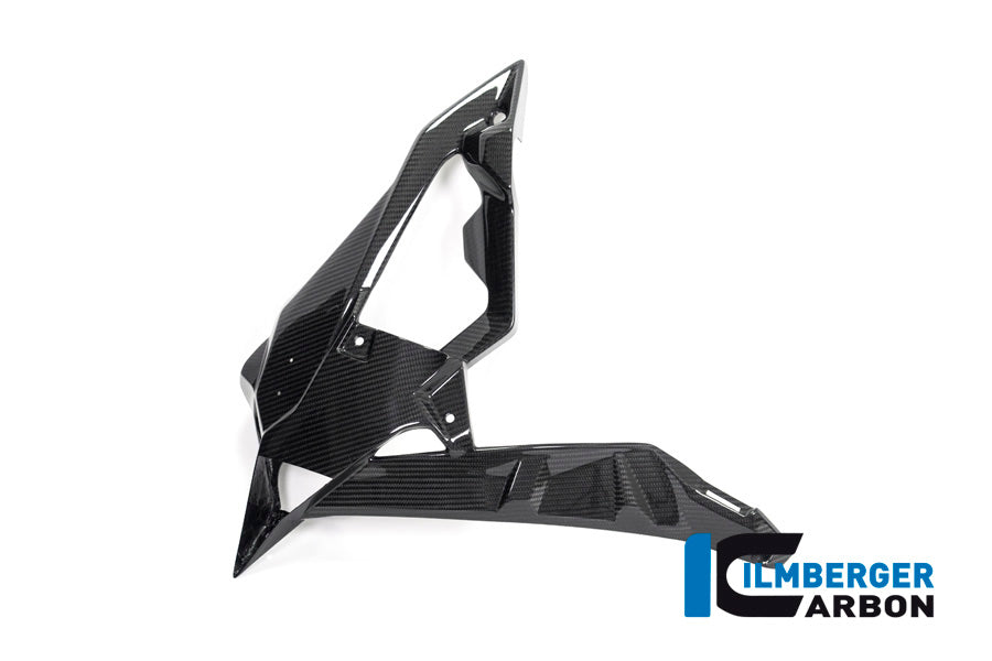 Ilmberger Carbon Radiator Cover / Badge Holder Left Side - BMW S 1000 R (Ab 2017)