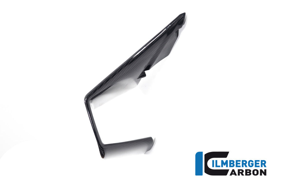 Ilmberger Carbon Winglet Right Side BMW M 1000 RR MY From 2023