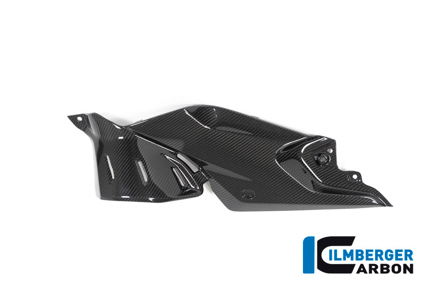 Ilmberger Carbon Side Panel Under The Tank Left BMW R 1250 R