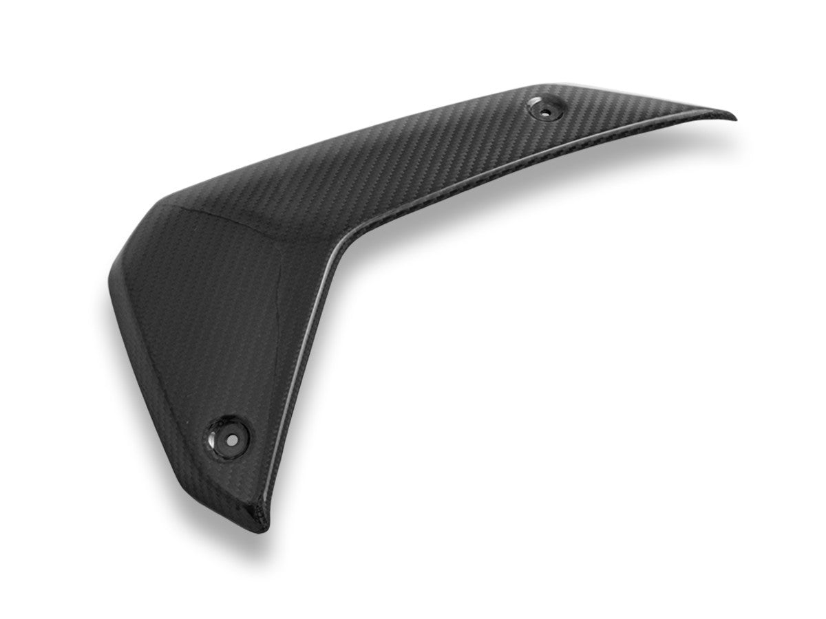Ducabike DBK CRB180L BMW R1300GS Glossy Carbon Side Panels