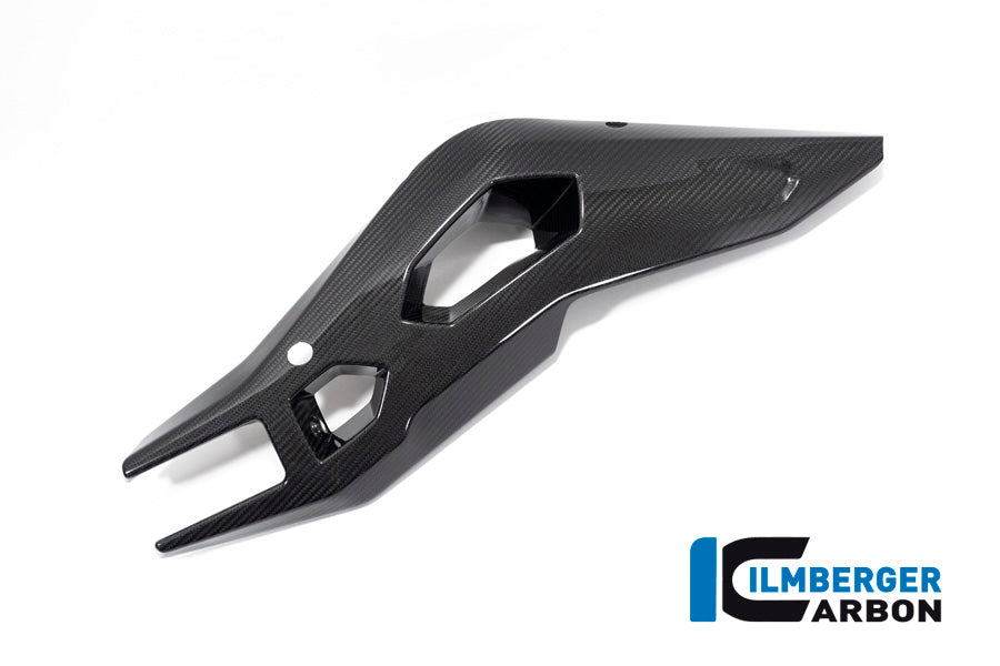 Ilmberger Carbon Swing Arm Cover Right Side BMW S 1000 XR From MY 2020