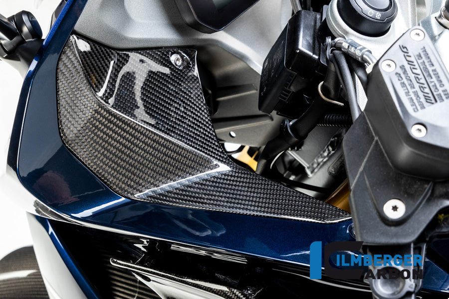 Ilmberger Carbon Cover Near The Instrument Left Side BMW R 1250 RS´19