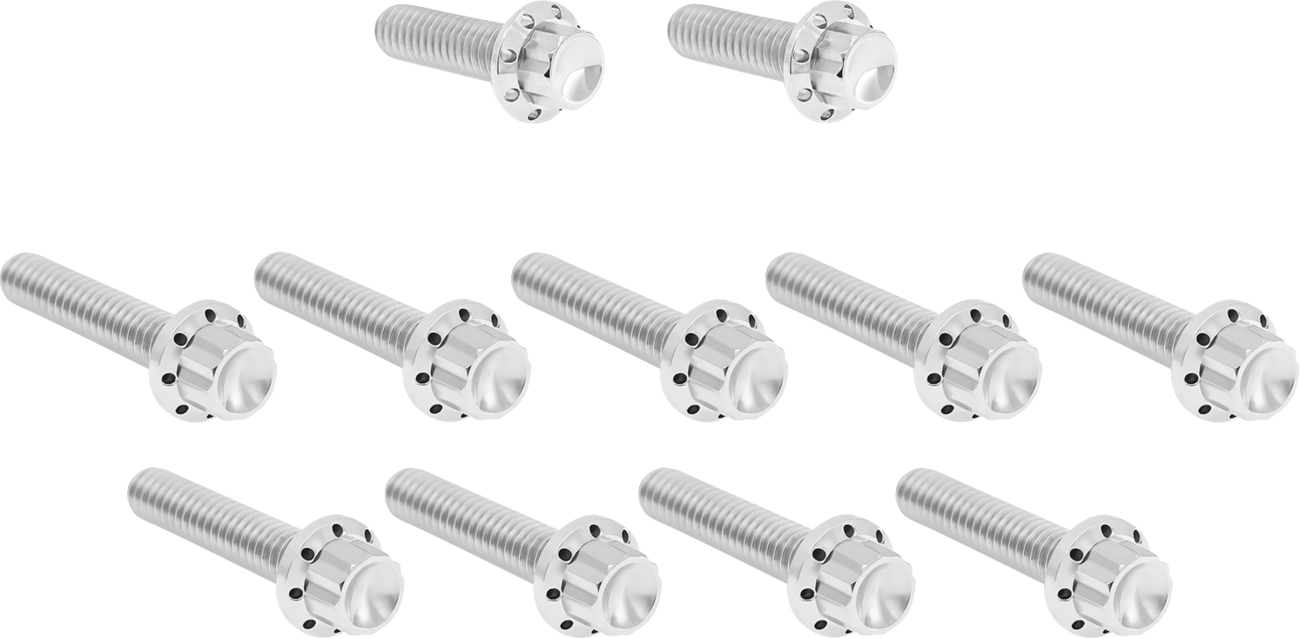 Arlen NESS Bolt Kit - Cam Cover/Point Cover - Titanium - 12-Point - Polished