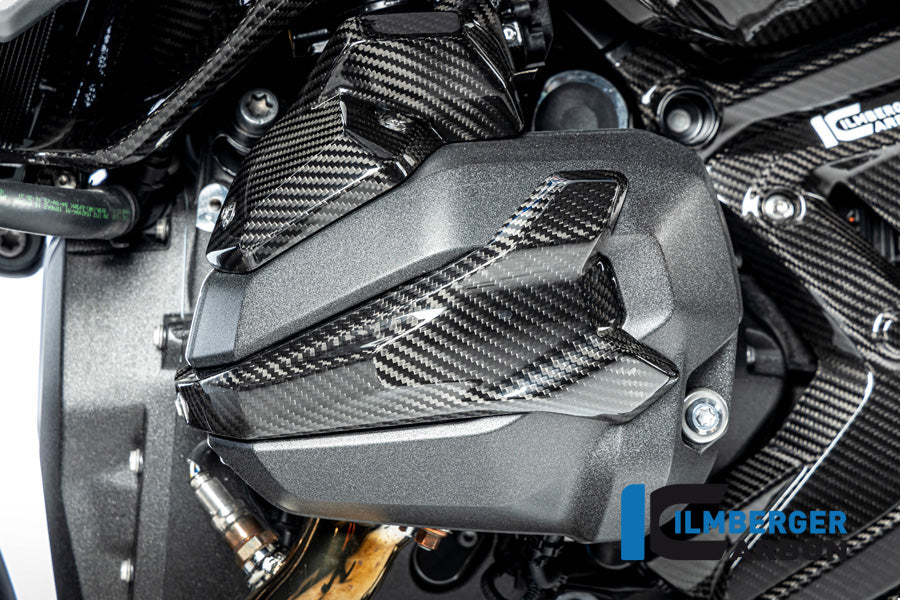 Ilmberger Carbon Spark Plug Access Cover Left BMW R 1300 GS - Gloss / Twill