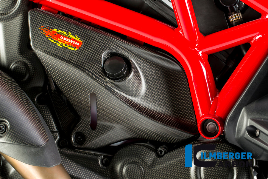 Ilmberger Carbon Cover Under The Frame Right - Matte