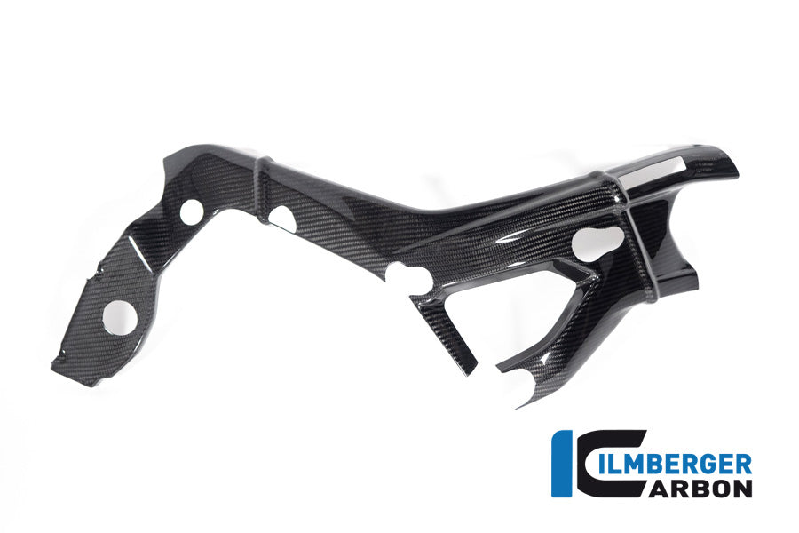 Ilmberger Carbon Frame Cover Right Side BMW S 1000 R MY From 2021 / M 1000 R MY From 2023