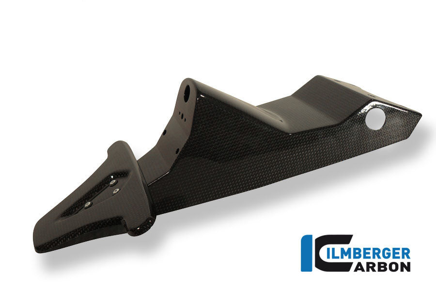Ilmberger Carbon License Plate Holder (Incl. Taillight Cover With Indicator Mount) Carbon Triumph Speed Triple 1050