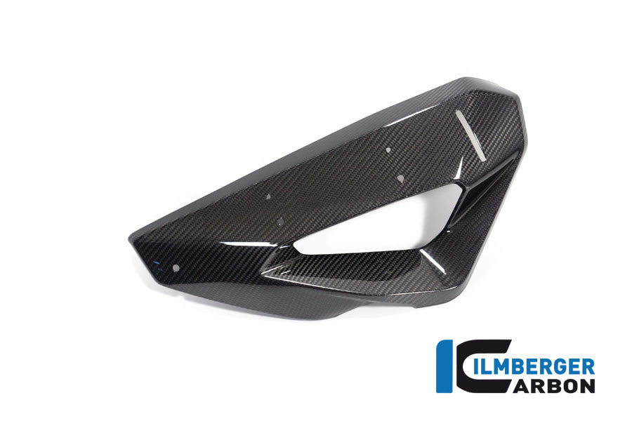 Ilmberger Carbon Cover On The Watercooler With Winglet Position Left BMW M 1000 XR 2024