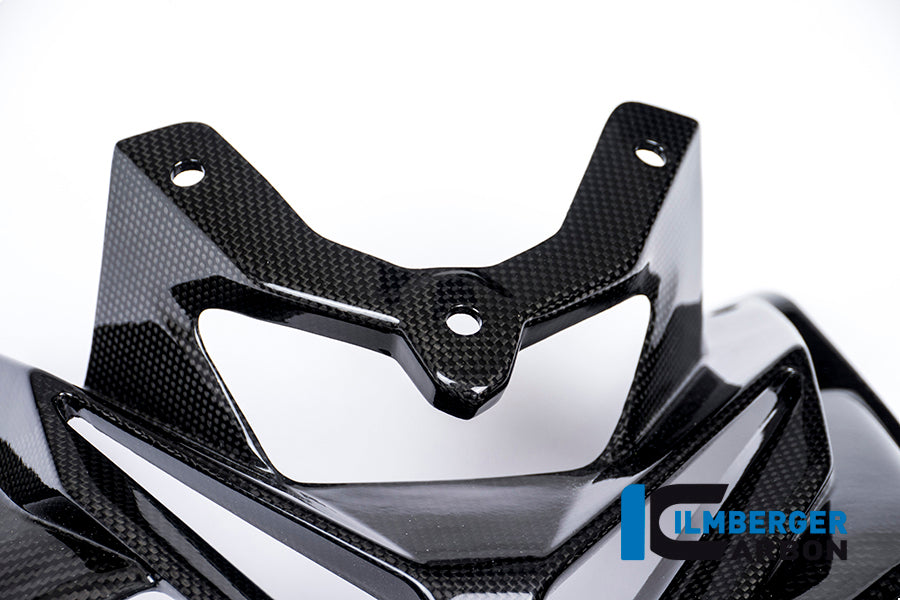 Ilmberger Carbon Fairing Upper / Lamp Mask Carbon