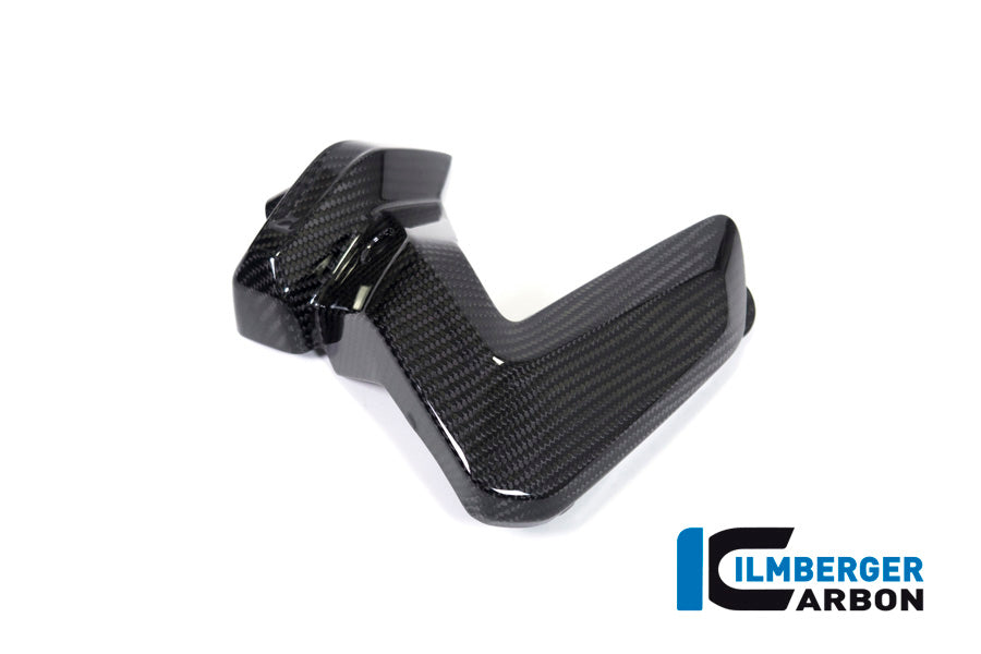Ilmberger Carbon Spark Plug Cover Right Side BMW R 1250 GS / R 1250 R, And RS
