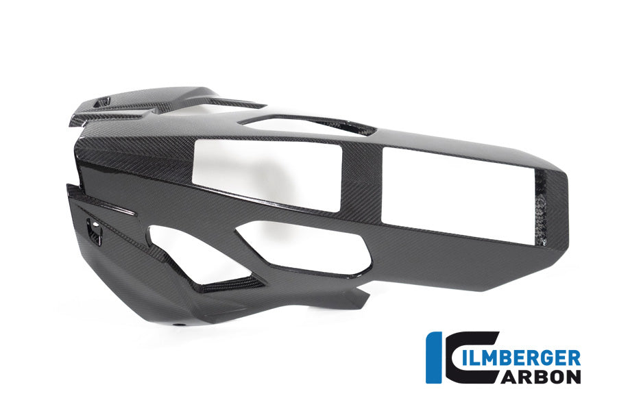 Ilmberger Carbon Bellypan BMW S 1000 R MY From 2021 / M 1000 R MY From 2023