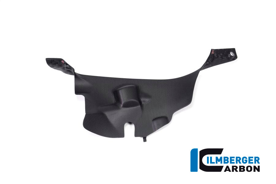 Ilmberger Carbon Air Tube Cover Right Ducati Panigale V4 / V4 S