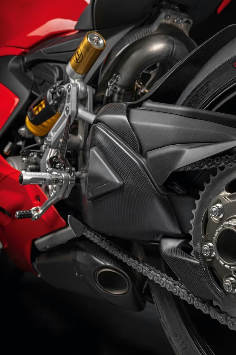 Ducati Performance Carbon Swingarm Guard