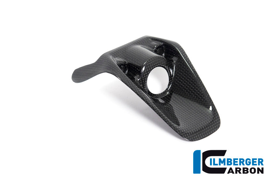 Ilmberger Carbon Ignition Switch Cover Ducati Monster 1200R