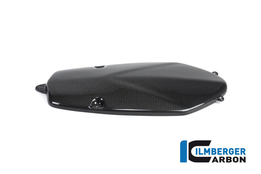 Ilmberger Carbon Alternator Cover Carbon