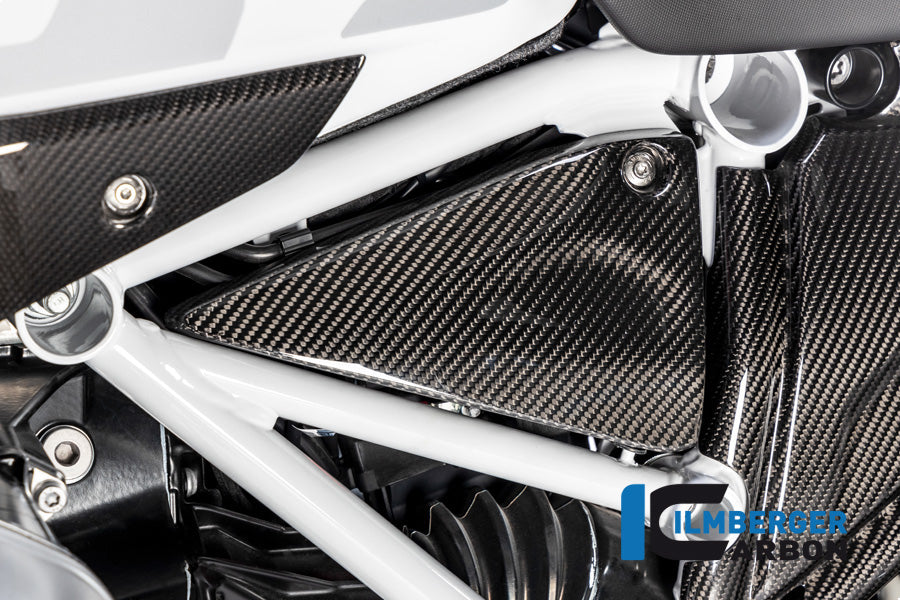 Ilmberger Carbon Frame Triangle Cover Left Side BMW R 1250 GS / R 1250 R And RS