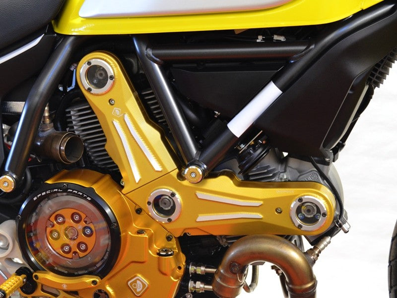 Ducabike DBK CDSCRA01 Timing Belt Cover - GOLD-SILVER