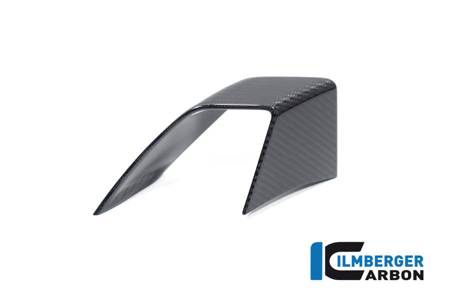 Ilmberger Carbon Fairing Side Winglet Left Side BMW S 1000 R MY From 2021
