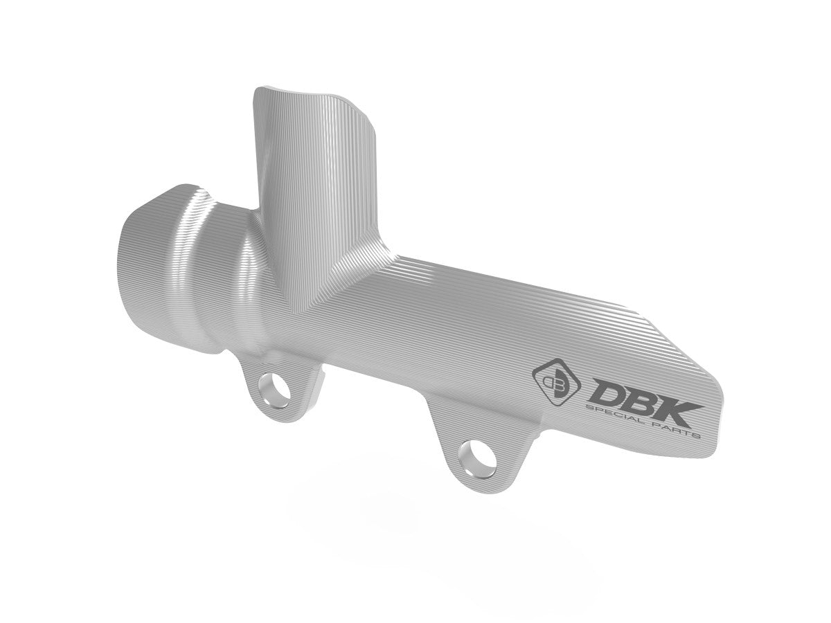 Ducabike DBK PPF05 Brembo Rear Brake Pump Protection - Silver