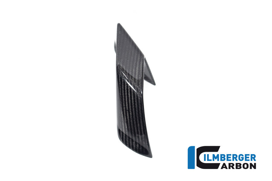 Ilmberger Carbon Fairing Side Winglet Left Side BMW S 1000 R MY From 2021