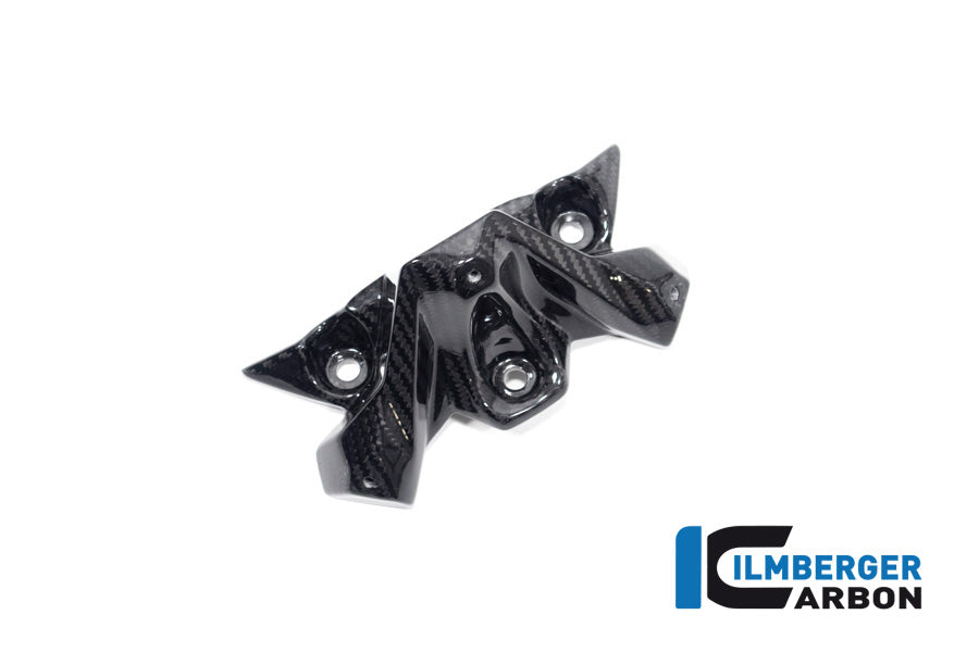 Ilmberger Carbon Windshield BMW S 1000 R MY From 2021 / M 1000 R MY From 2023