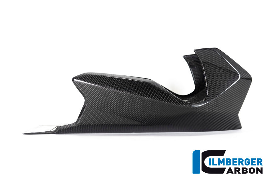 Ilmberger Carbon Bellypan BMW R 1250 R (LC) 2019