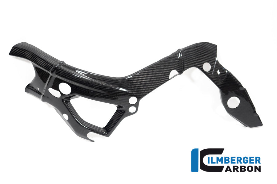 Ilmberger Carbon Frame Cover Left Side BMW S 1000 R MY From 2021 / M 1000 R MY From 2023