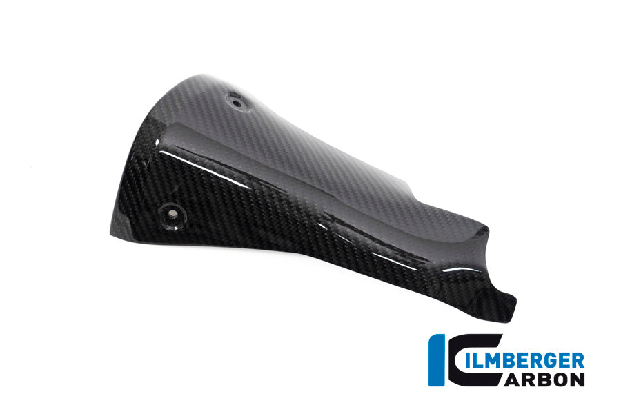 Ilmberger Carbon Front Silencer Protector BMW R 1250 R / R 1250 RS