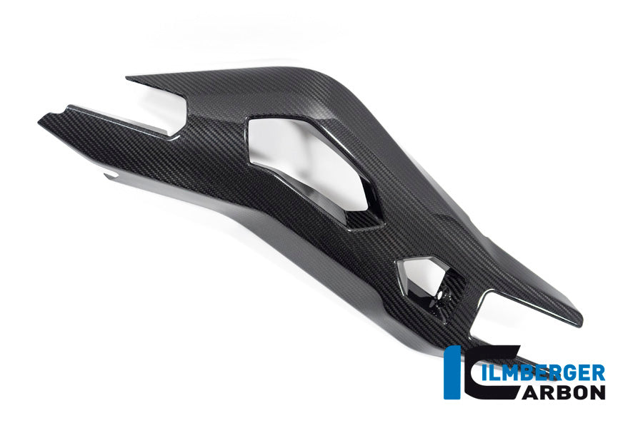 Ilmberger Carbon Swing Arm Cover Left Side BMW S 1000 XR From MY 2020