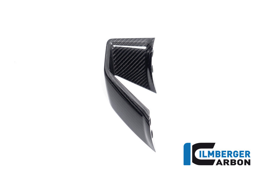 Ilmberger Carbon Fairing Side Winglet Right Side BMW S 1000 R MY From 2021