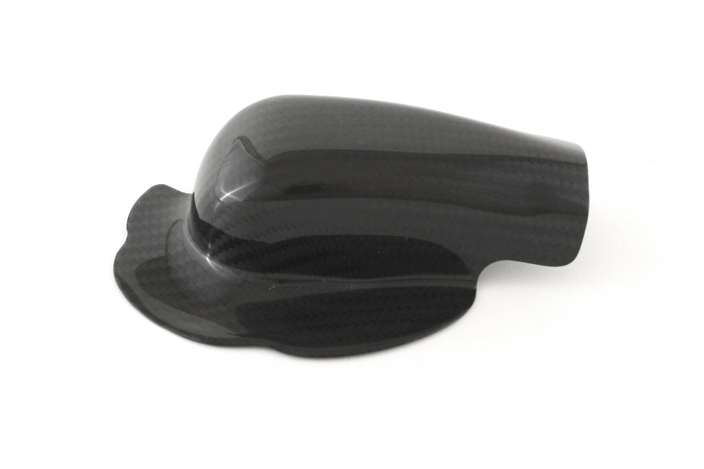 Fullsix Carbon Water Pump Protection Guard