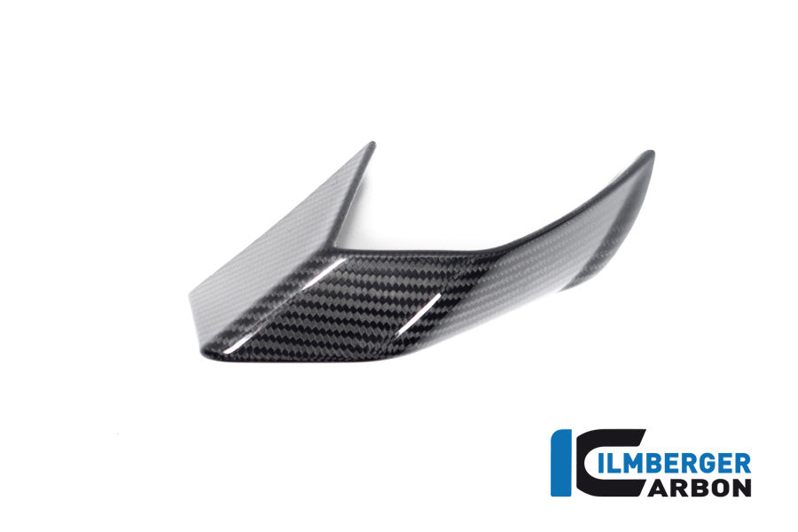 Ilmberger Carbon Fairing Side Winglet Left Side BMW S 1000 R MY From 2021