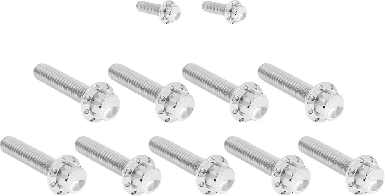 Arlen NESS Bolt Kit - Cam Cover/Point Cover - Titanium - 12-Point - Polished