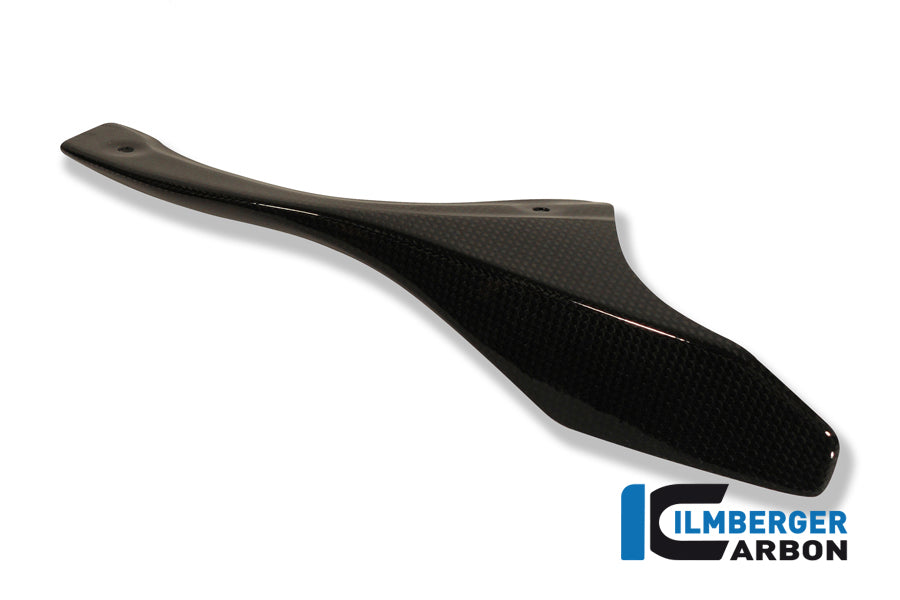 Ilmberger Carbon Chain Guard On The Swingarm Carbon