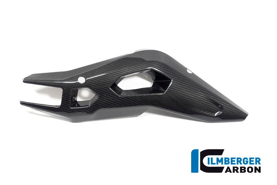 Ilmberger Carbon Swing Arm Cover Right Side BMW S 1000 XR From MY 2020