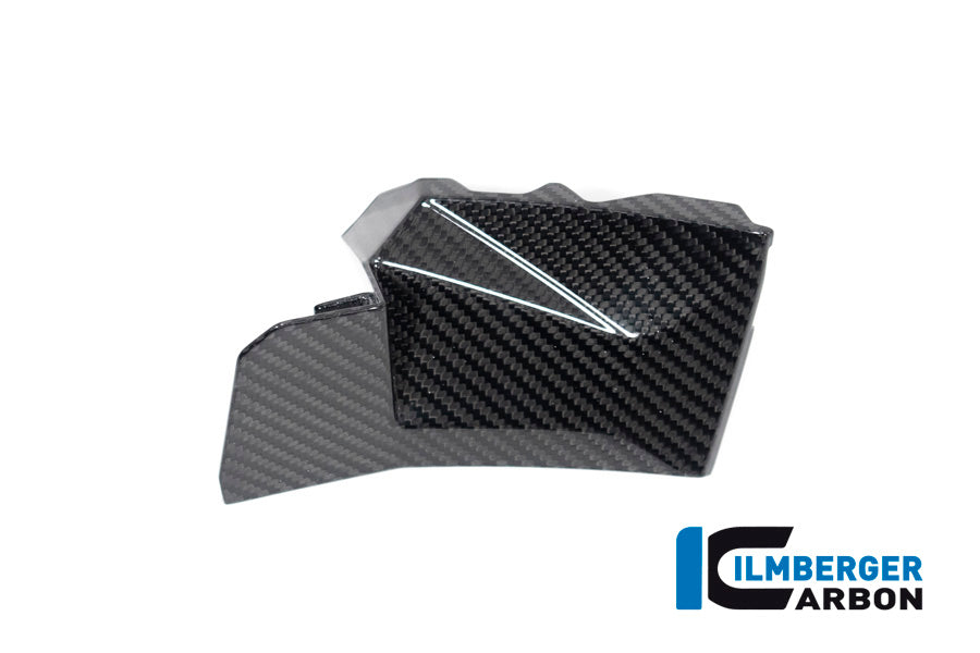 Ilmberger Carbon Cover Near The Instruments Right Side S 1000 XR From MY 2020