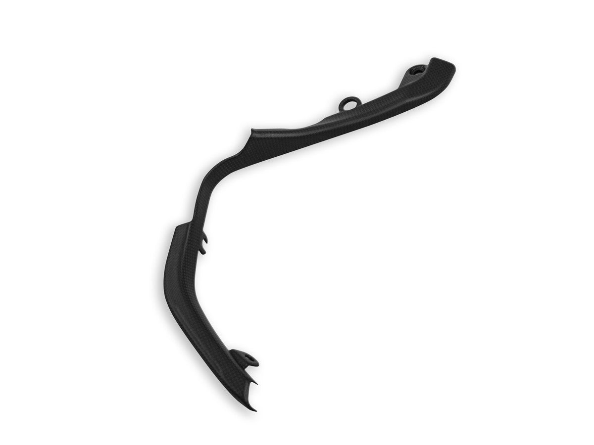 Ducabike DBK CRB120O MTS V4 Pikes Peak Swingarm Wiring Cover Matt Carbon