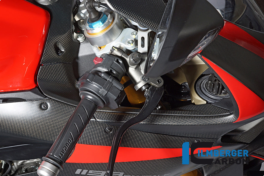 Ilmberger Carbon Airtube Cover Right Matt Ducati Panigale 1299 (From 2015)