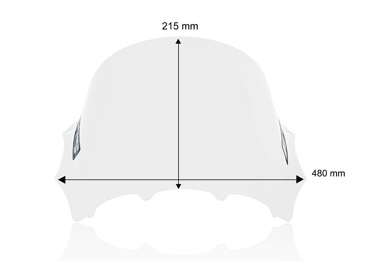 WRS Race Windscreen BMW M 1000 RR 2023-2024