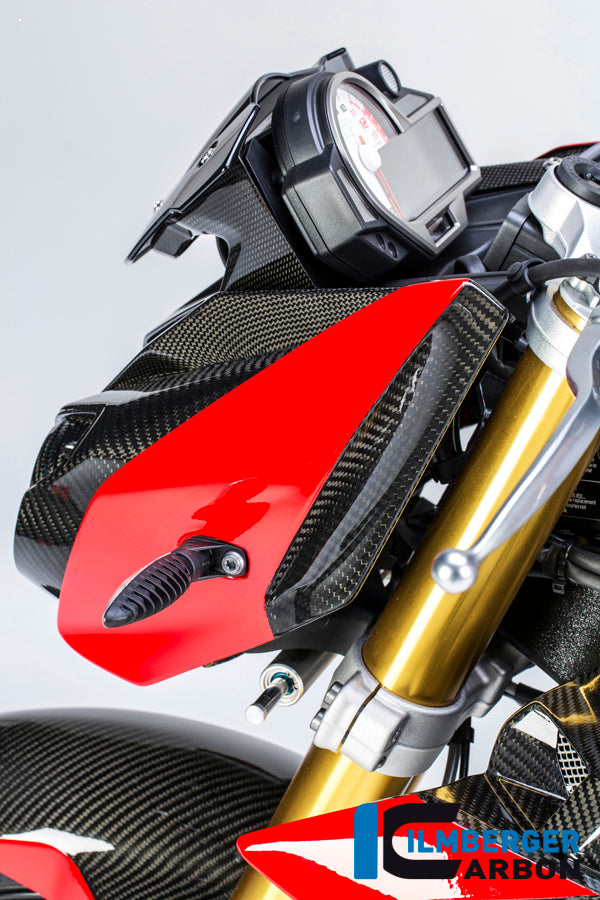 Ilmberger Carbon Side Cover On The Top Left Carbon