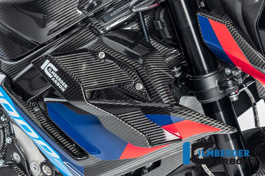 Ilmberger Carbon Winglet Right BMW M1000R 2023