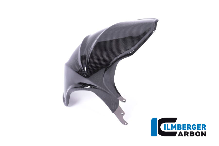 Ilmberger Carbon Rear Fender BMW R 1200 R/RS '18