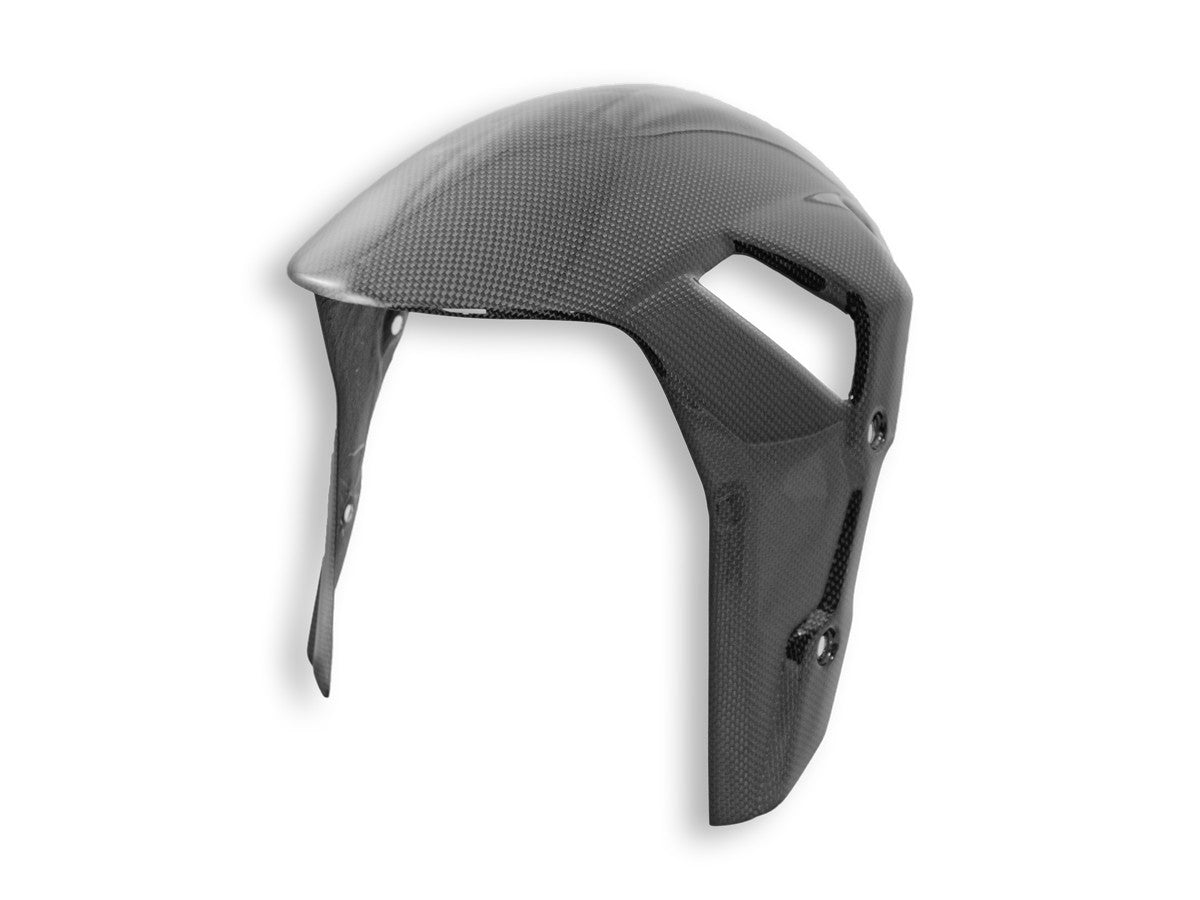 Ducabike DBK CRB84L BMW S1000RR Glossy Carbon Front Fender