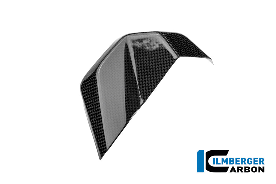 Ilmberger Carbon Engine Cover Left Ducati Panigale V4 2025-2026