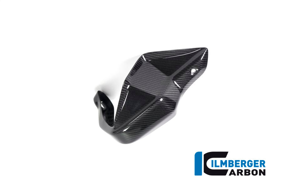 Ilmberger Carbon Hand Protector Right Side BMW R 1250 GS