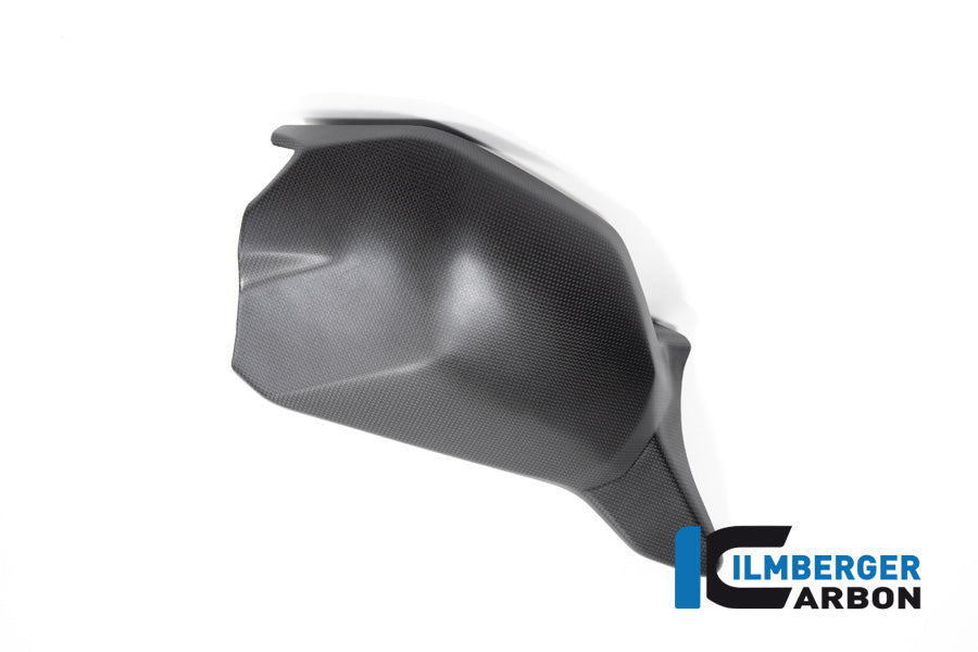 Ilmberger Carbon Swing Arm Cover V4 Ducati Streetfighter - Matte