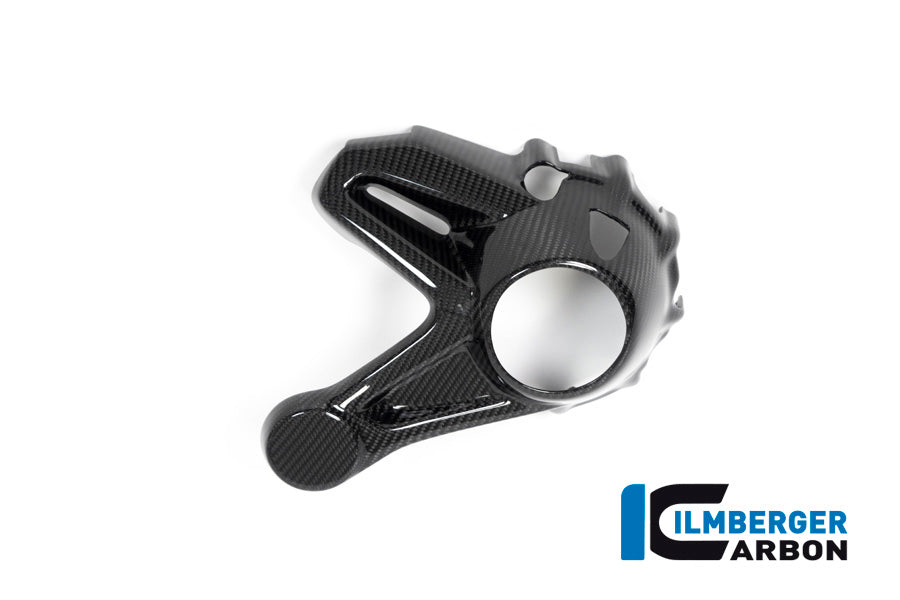 Ilmberger Carbon Bevel Drive Housing Protector (Mounting With Rear Splash Guard) BMW R 1250 GS / R 1250 R