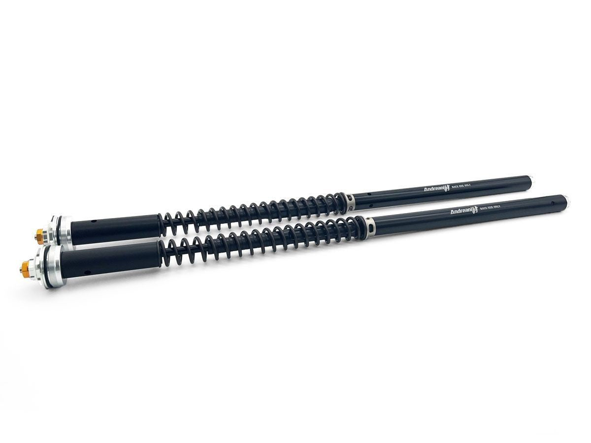 Ducabike DBK CFD105/W21E BMW RnineT Pure Adjustable CARTRIDGE KIT