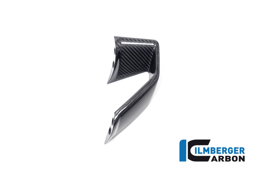 Ilmberger Carbon Fairing Side Winglet Left Side BMW S 1000 R MY From 2021